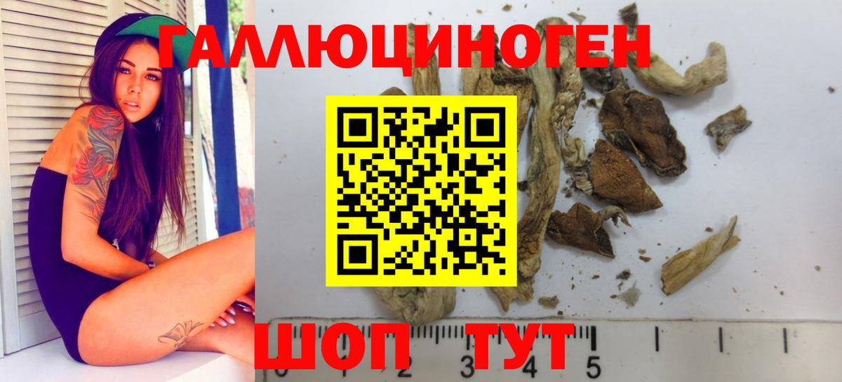 наркотики  Вход с VPN  Дмитров  Галлюциногенные грибы Magic Shrooms 